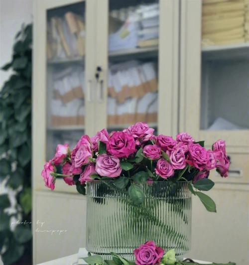 水养鲜花需要注意什么？如何让水养鲜花更持久？