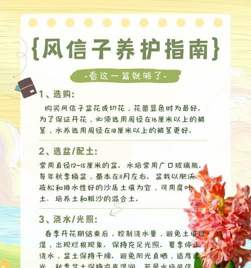 风信子种球土培技巧有哪些？
