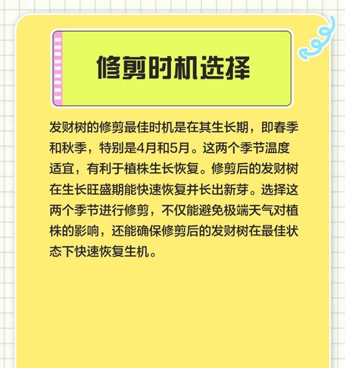 发财树的栽培方法是什么？如何进行修剪和管理？