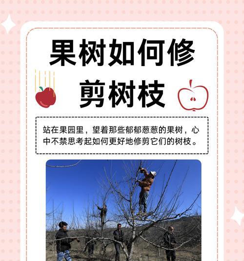 树木修剪的最佳时机是什么时候？