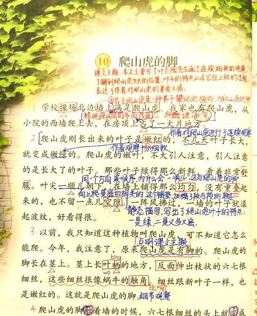 爬山虎为什么叫爬山虎？它有哪些独特的生长特性？