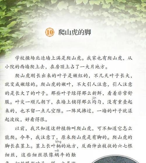 爬山虎为什么叫爬山虎？它有哪些独特的生长特性？