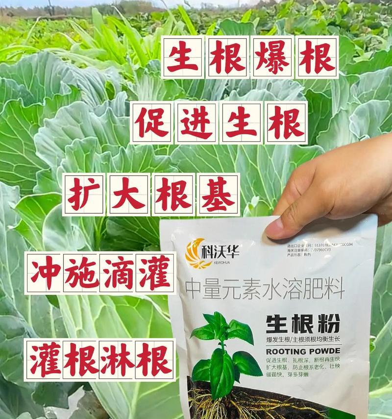 植物促生根的有效方法是什么？