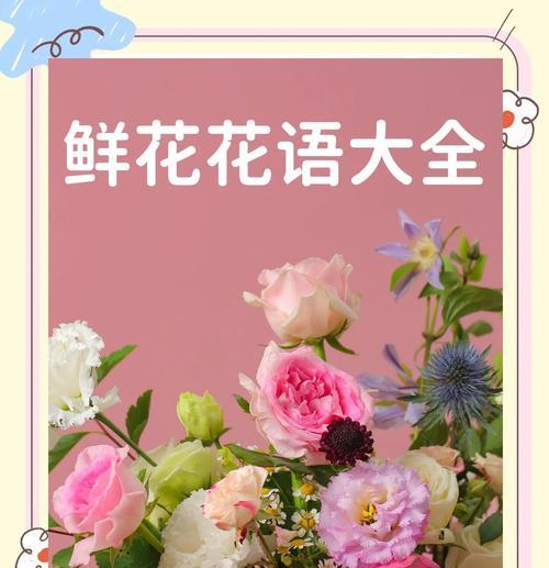 君子兰土壤配制技巧有哪些？君子兰土壤配制后如何维护？