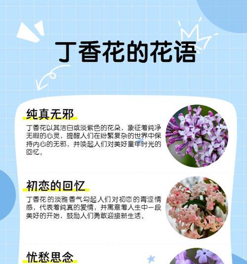 君子兰土壤配制技巧有哪些？君子兰土壤配制后如何维护？