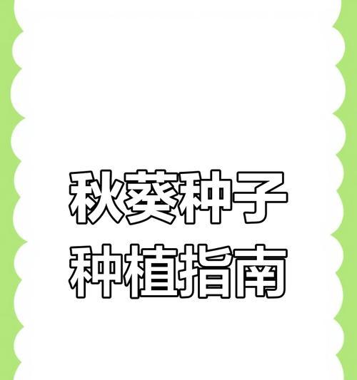 播种种子时应该注意哪些要点？