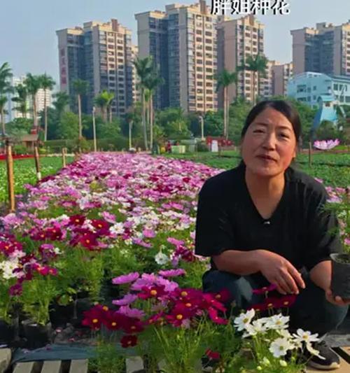 花卉育苗的基本方法是什么？需要注意什么？