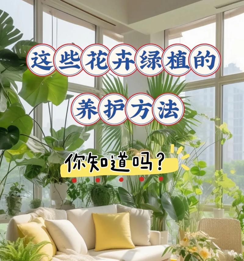 花卉育苗的基本方法是什么？需要注意什么？