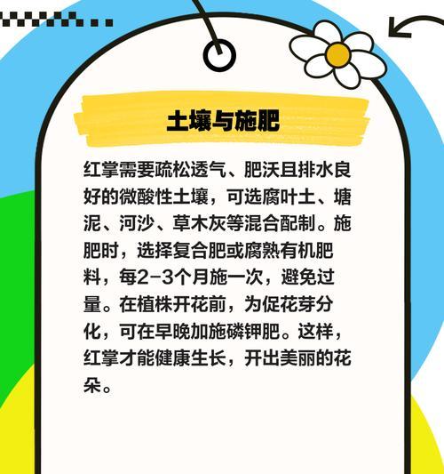 冬天怎么养红掌？红掌冬季护理的要点是什么？