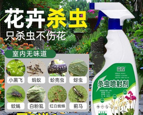 家庭养花遇到飞虫问题的处理方法是什么？