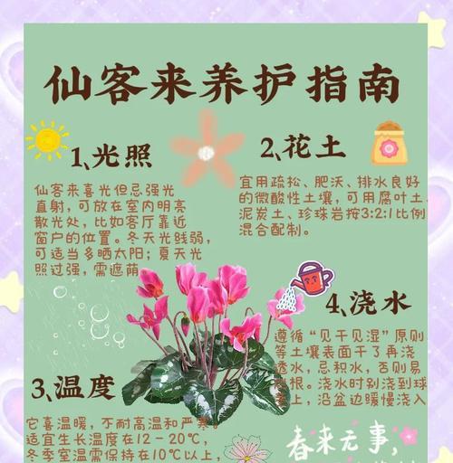 秀求花的养护技巧有哪些？秀求花如何养殖才能更茂盛？