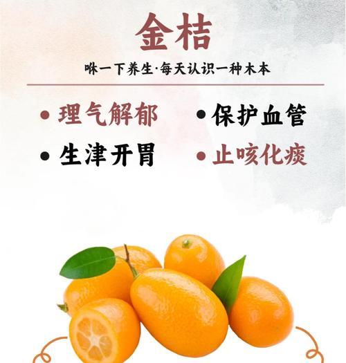 金桔树的养护要点有哪些？