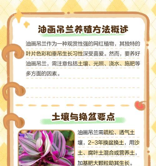 夏天吊兰的养护方法是什么？需要注意哪些问题？