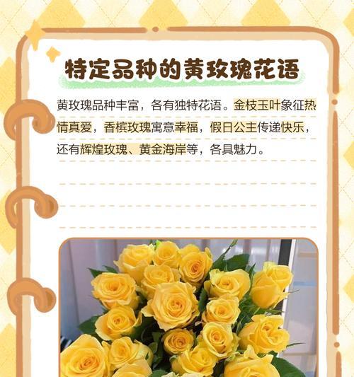 品种玫瑰花的花语有哪些？品种玫瑰花如何挑选？