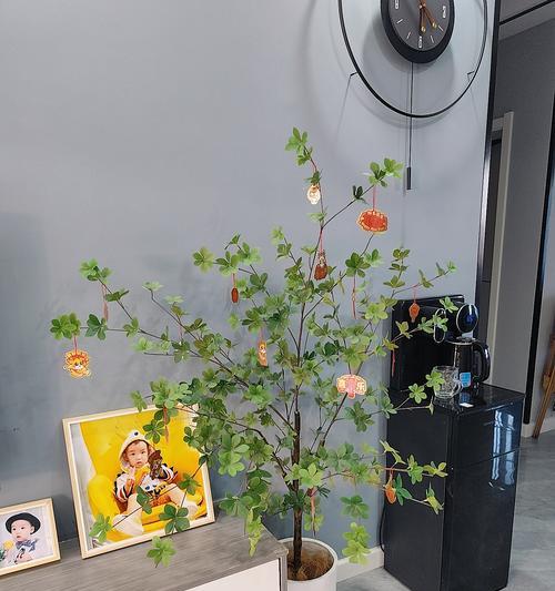 盆栽挂在壁上的方法和技巧有哪些？
