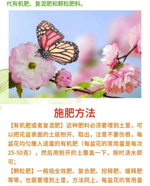 盆景用什么肥料？如何正确施肥促进盆景健康成长？