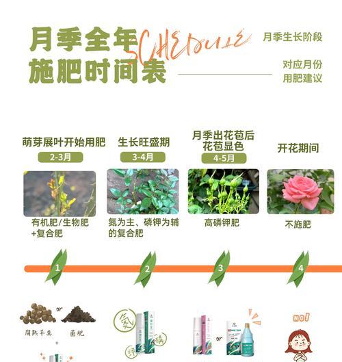 盆景用什么肥料？如何正确施肥促进盆景健康成长？
