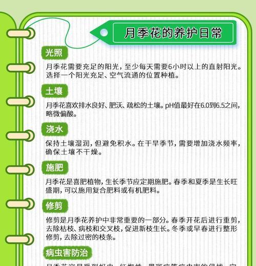 秋天花卉的养护和管理要点是什么？