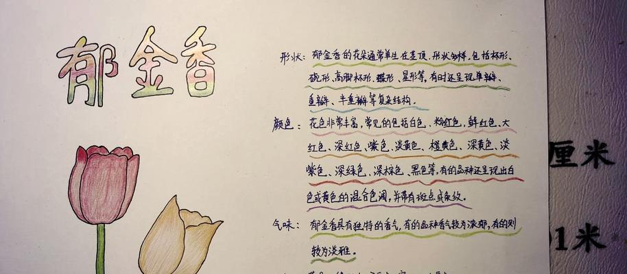 绿萝分株的步骤和注意事项是什么？