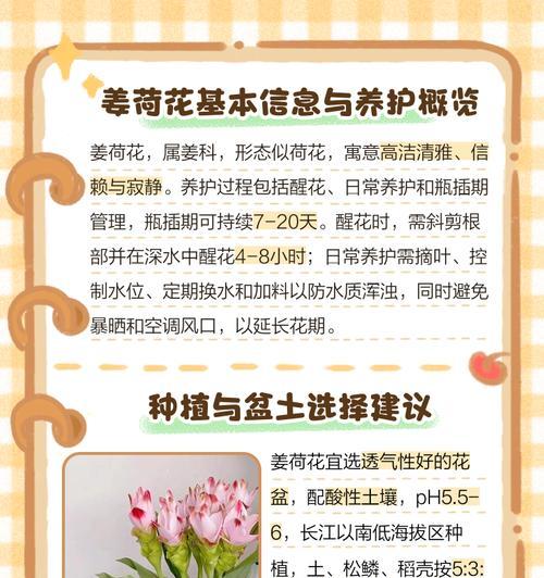 谢找莲花的养殖技巧和注意事项有哪些？
