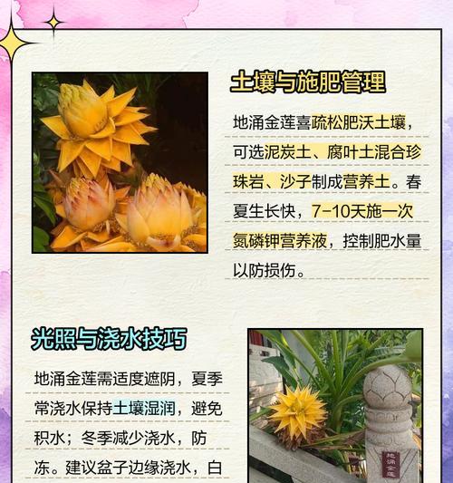 谢找莲花的养殖技巧和注意事项有哪些？