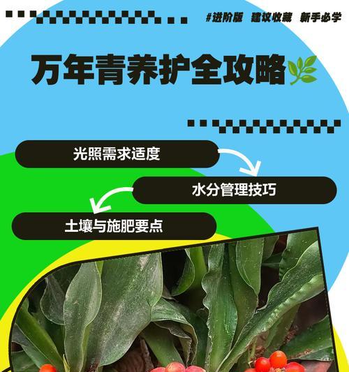 广东万年青修剪的最佳时机和方法是什么？