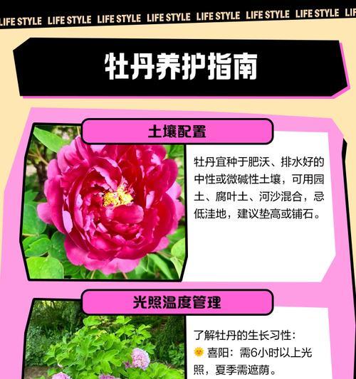 龟甲牡丹种植需要什么土壤？如何配制？