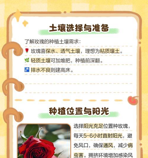 种玫瑰花用什么土最好？玫瑰花种植的土壤选择是什么？