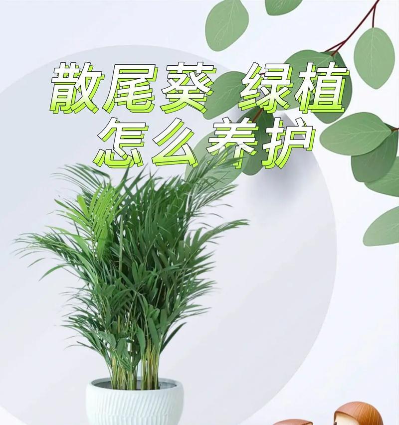 散尾葵叶子发黄的解决方法是什么？