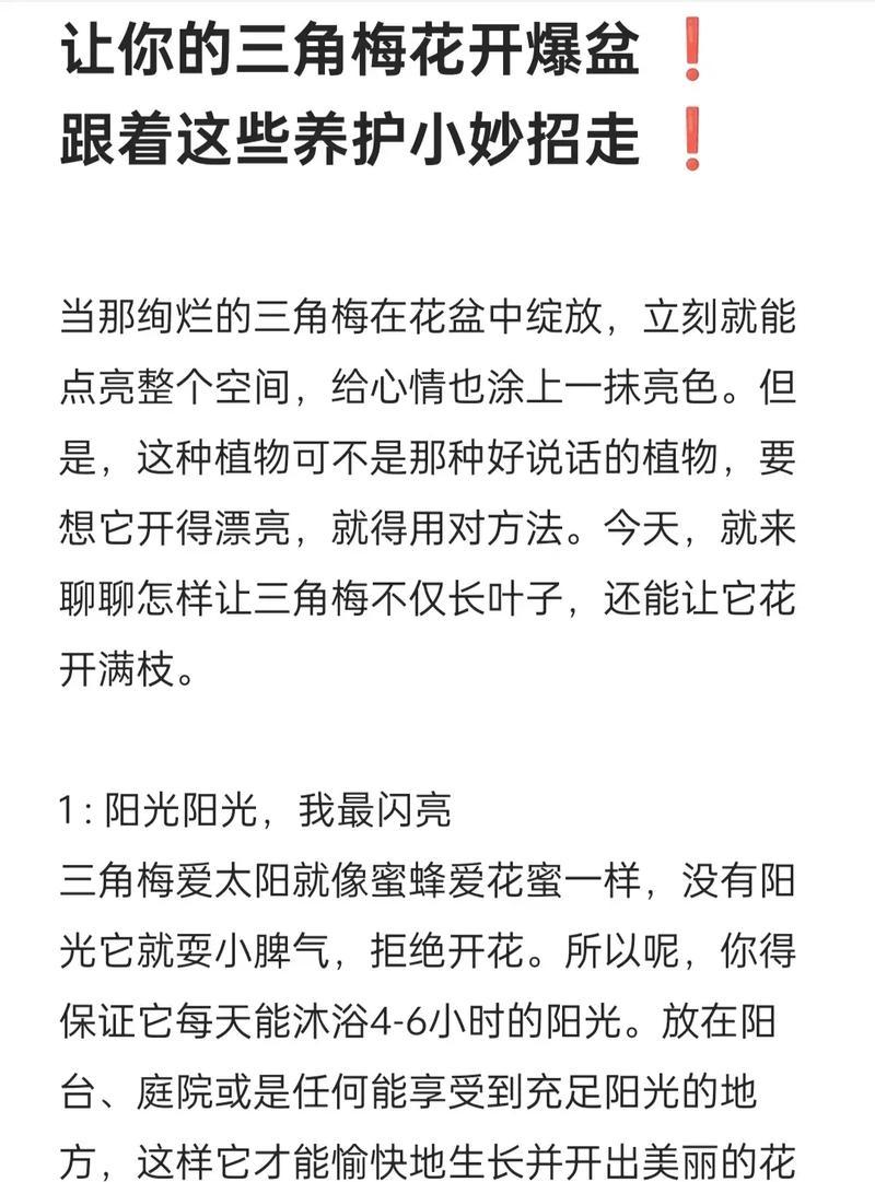 三角梅养殖方法及常见问题解决？