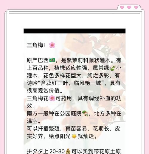 三角梅养殖方法及常见问题解决？