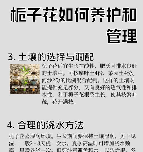 桅子花修剪的最佳时机？怎样修剪更有利于生长？