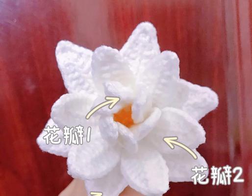 栀子花花肥的自制方法是什么？