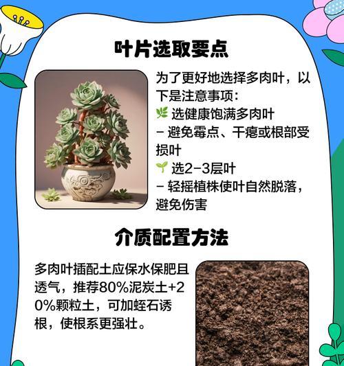 唐印叶插的步骤是什么？