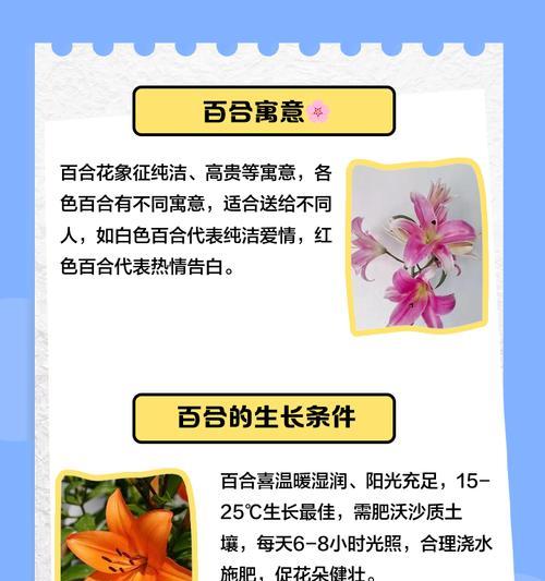 百合花种植的步骤是什么？如何确保百合花的健康生长？