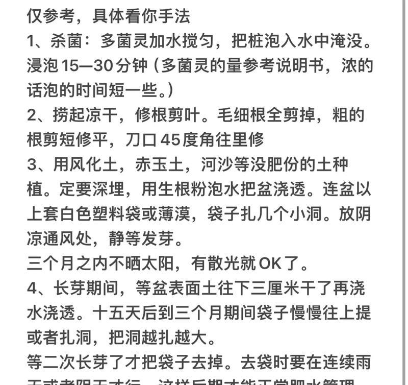杜鹃花的种植技巧和注意事项有哪些？