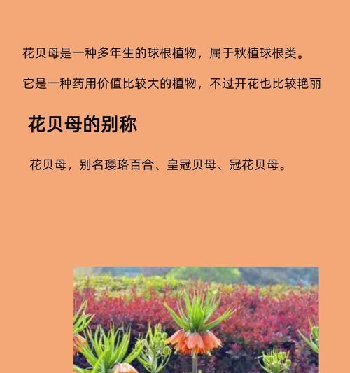 秋植球根花卉有哪些？如何在秋季种植和养护？