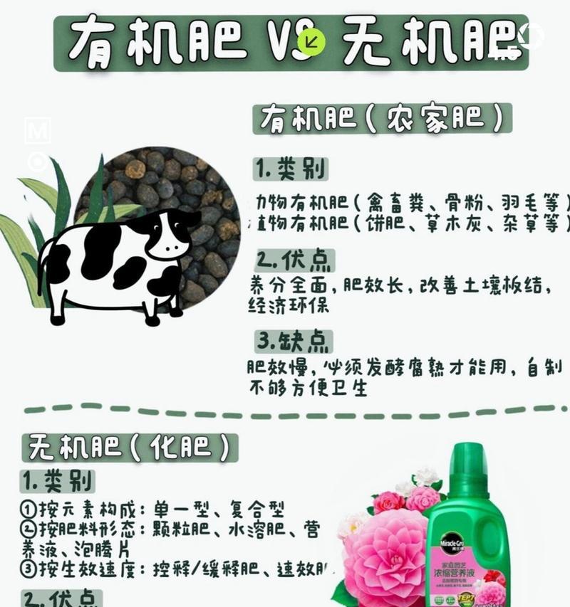 种花用什么做肥料？有机肥料和化肥哪种更合适？