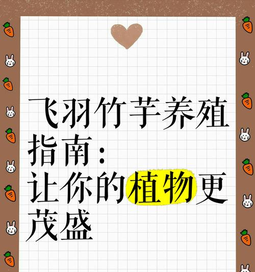 竹芋类植物的养殖方法有哪些？