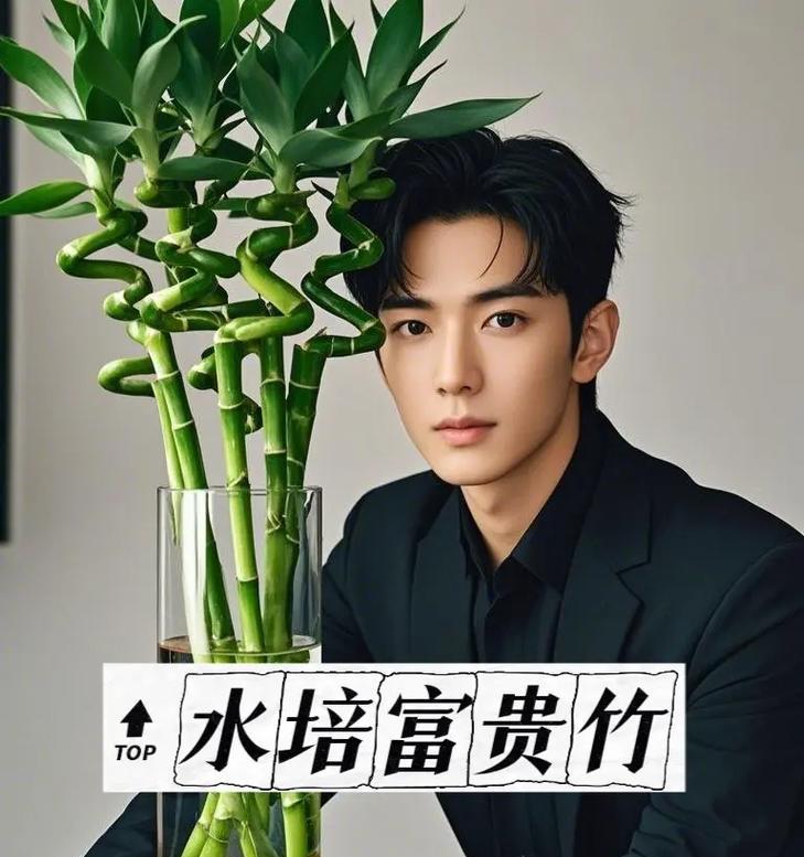 如何使富贵竹水养更加旺盛？