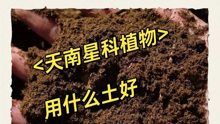哪些植物需要在酸性土壤中生长？