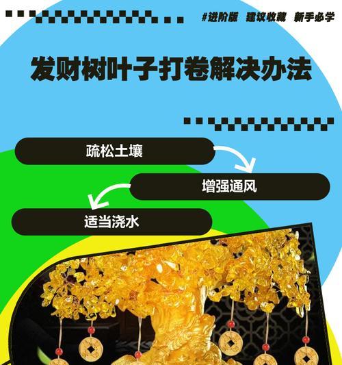 发财树叶子枯死的处理方法是什么？