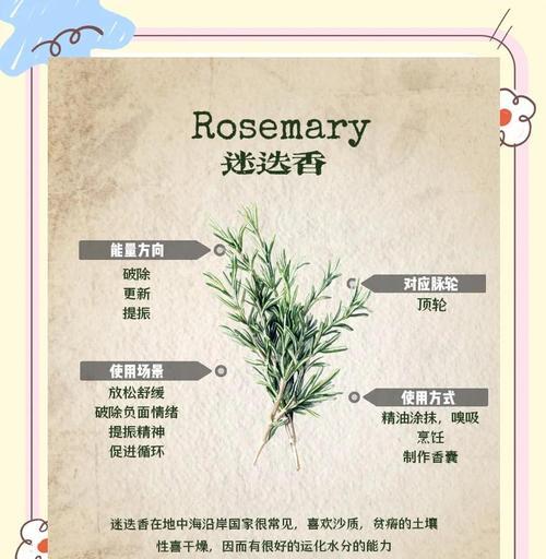 迷迭香的养护方法是什么？如何保持其香气？