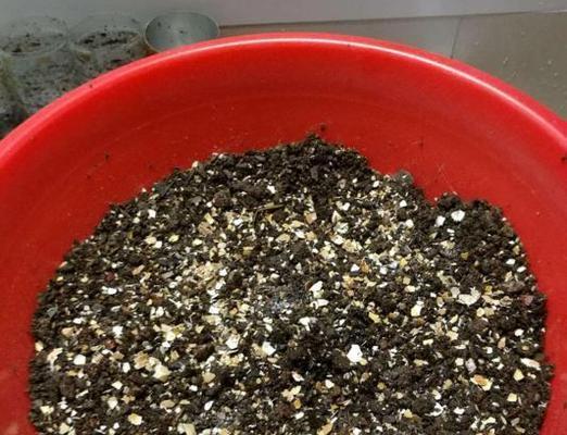 鸡蛋壳制作花肥的方法是什么？如何正确使用？
