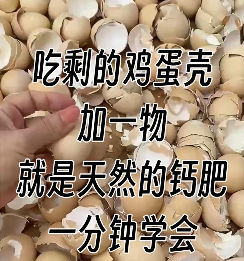 鸡蛋壳制作花肥的方法是什么？如何正确使用？