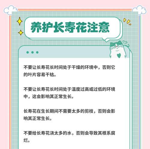 长寿花的养护秘诀是什么？