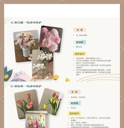 吸毒草的开花时间是什么时候？如何正确养护？