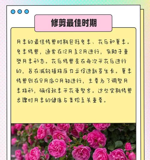 月季修剪的技巧有哪些？