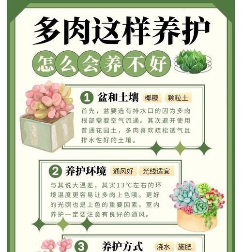 植物修剪的正确方法是什么？如何保证植物的健康生长？