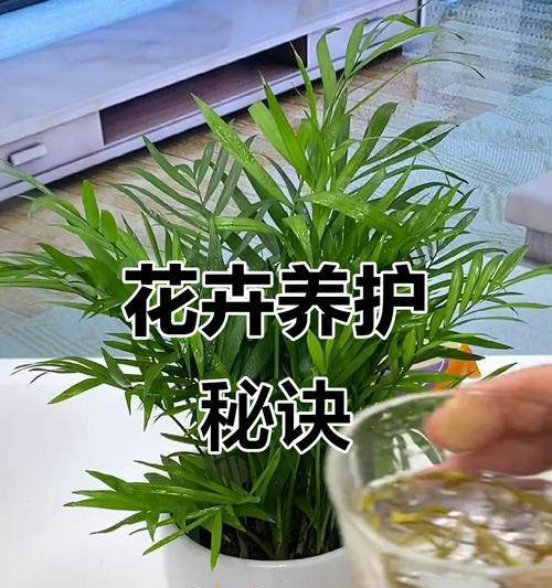 植物修剪的正确方法是什么？如何保证植物的健康生长？